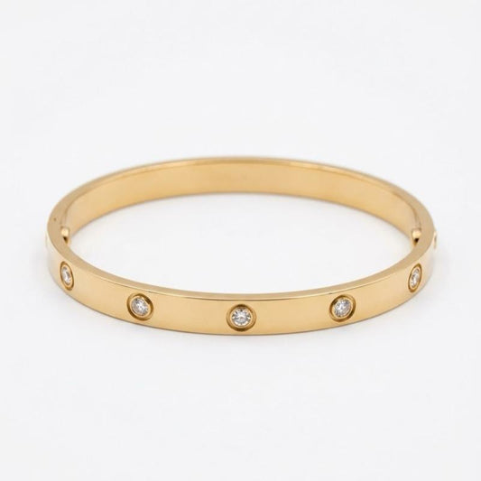 Bracciale Elettra in Acciaio Inox con Zirconi Incastonati Design Rigido per Vari Stili di Abbigliamento Elegante e Versatile