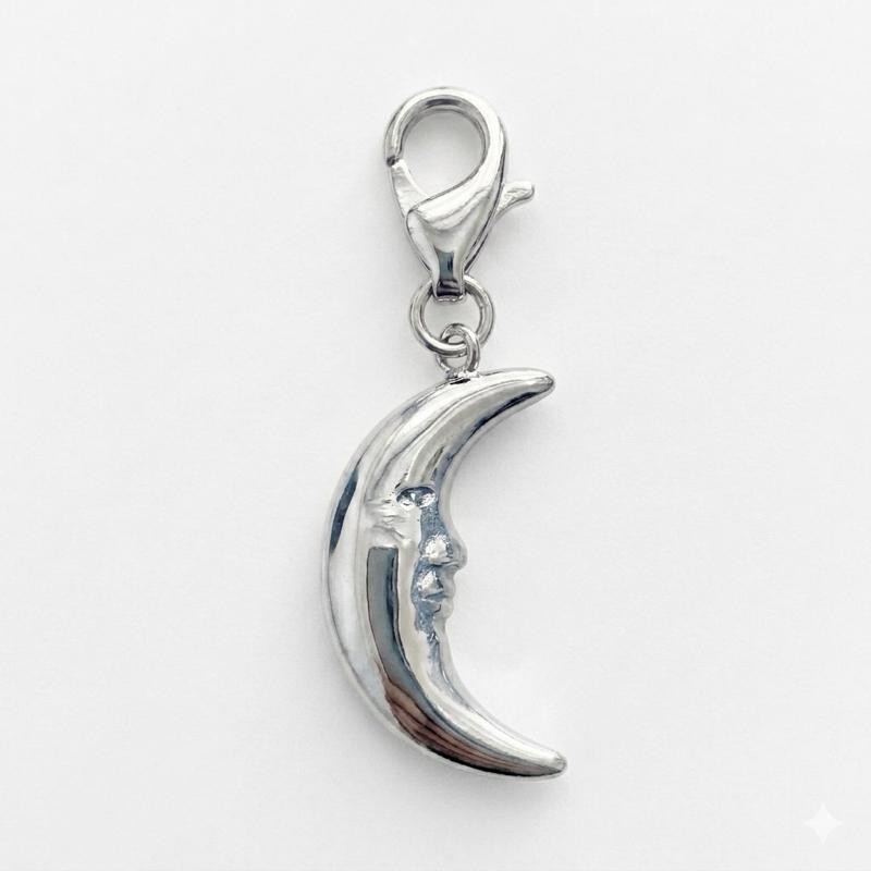 Charms con moschettone in acciaio inossidabile adatte ad ogni tipo di collana o bracciale