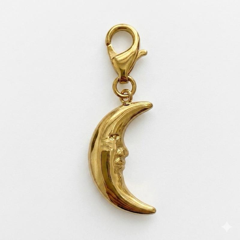 Charms con moschettone in acciaio inossidabile adatte ad ogni tipo di collana o bracciale